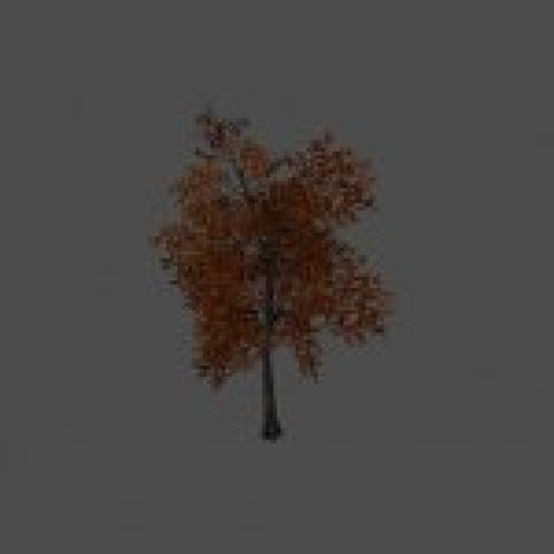 tree21