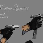 Twotone Sig P228