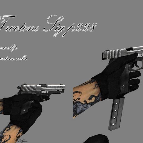 Twotone Sig P228