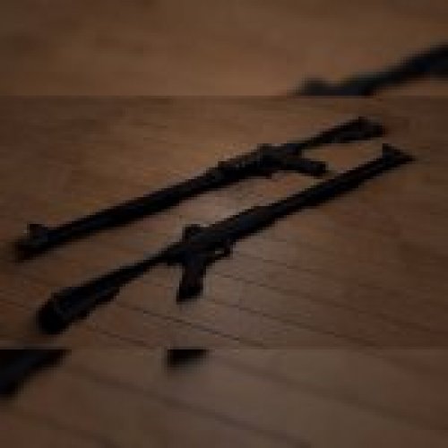 FN Herstal TPS