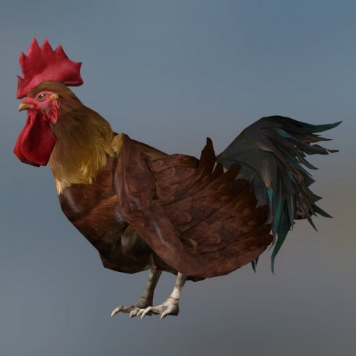 CXK in 007