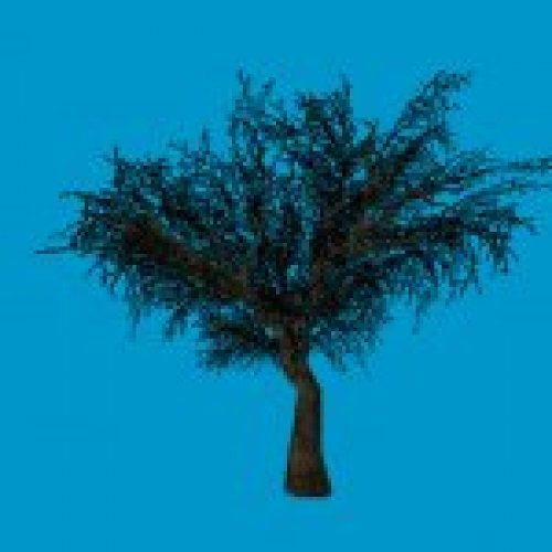 jn_eviltree_02_01_bb