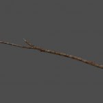 mex_branch5