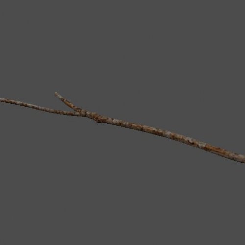 mex_branch5