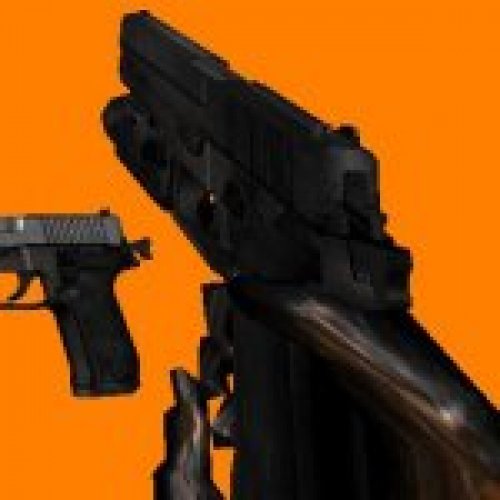 Sig Sauer P228 with Torch Chrome
