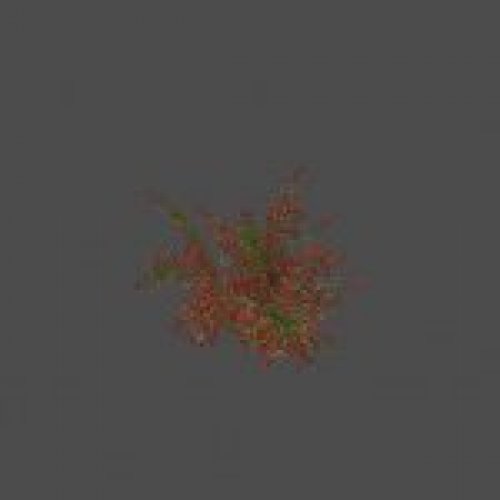 largebush01_ref