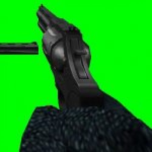 Colt Anaconda OF