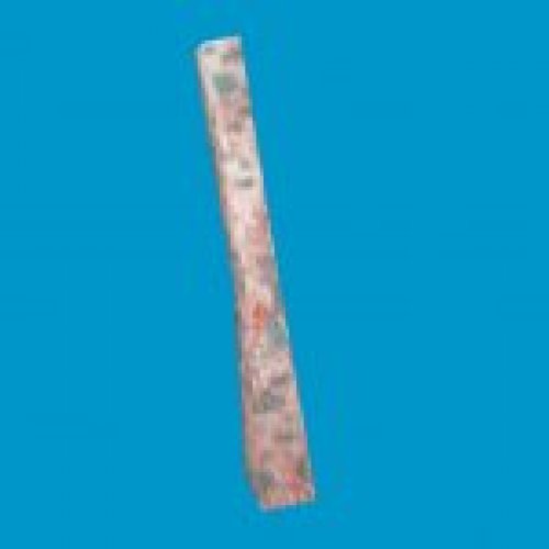 jn_blue_mushroom_02_gib02