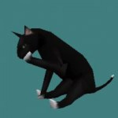 cat1.mdl