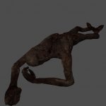 me3_CorpseBurnt02