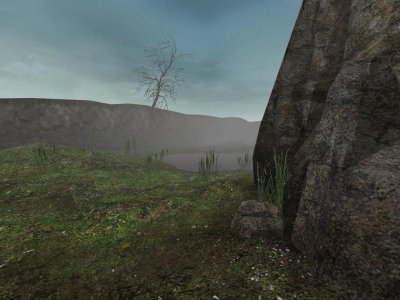 dm_swamp