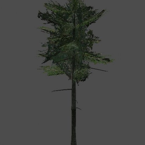 tall