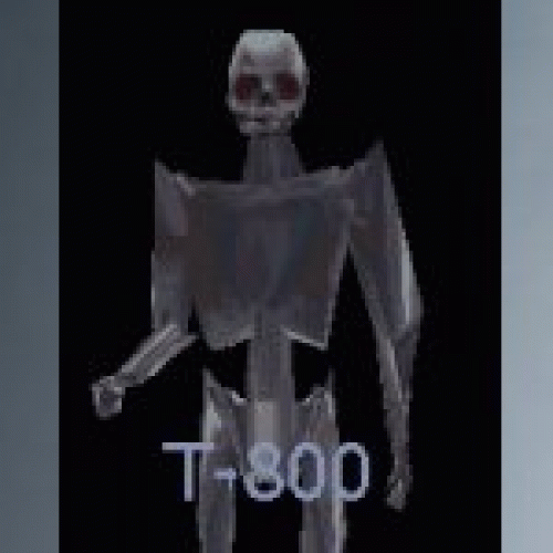 t800