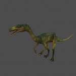 D1_CompyMesh