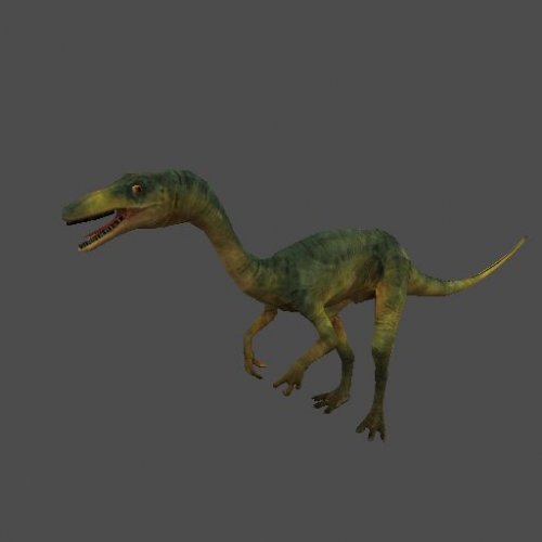 D1_CompyMesh