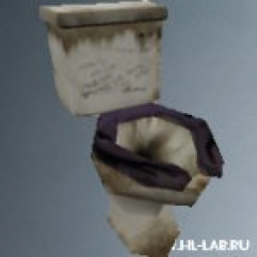 toilet_dirty