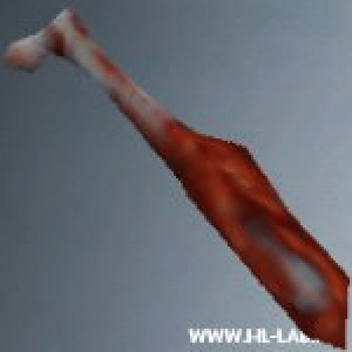 gib_legbone