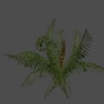 got_Cinnamon