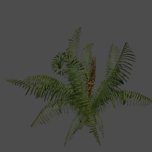 got_Cinnamon