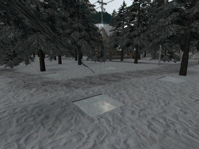 dm_winter_forrest_beta