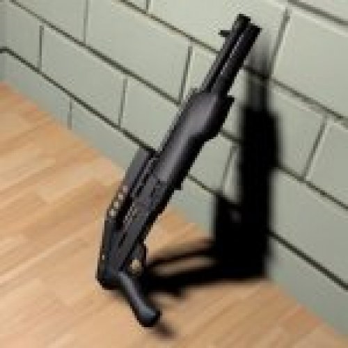 SPAS-12 + Stoke