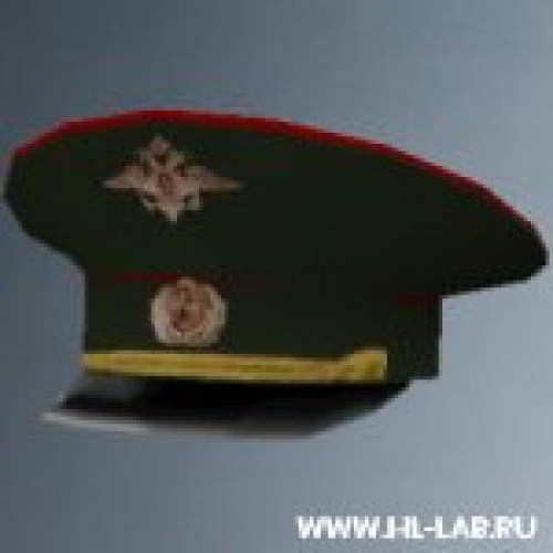 td_officer_cap.mdl