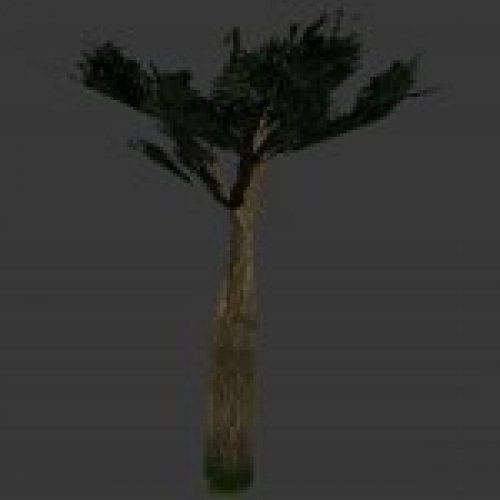 tree_tree10.mdl