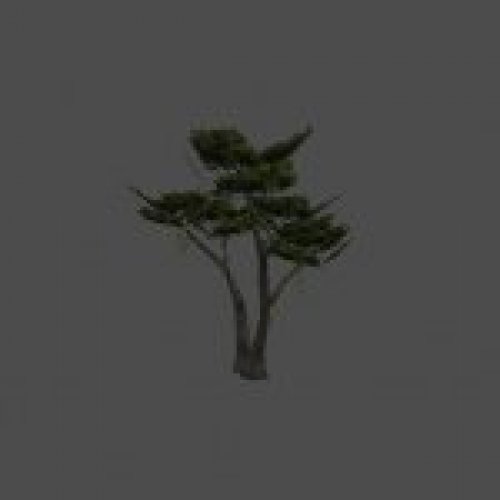 tree01