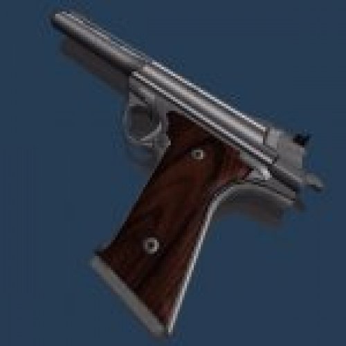 Firearms AMT Automag 44 Conversion
