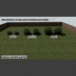 Maple_shrub_01