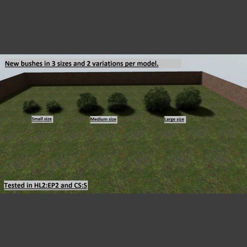 Maple_shrub_01