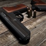 cz52 for p228