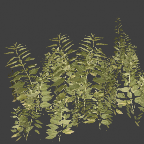 grass_pack5_small
