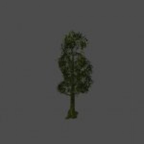 tree13