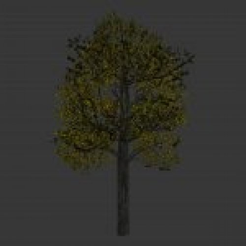 tree2.mdl