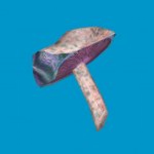 jn_blue_mushroom_01_gib03