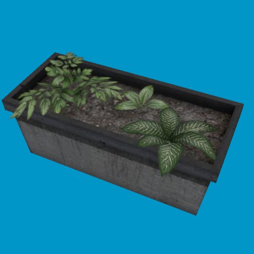 potted plants09