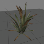 plant3