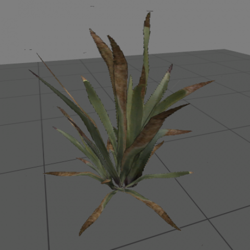 plant3