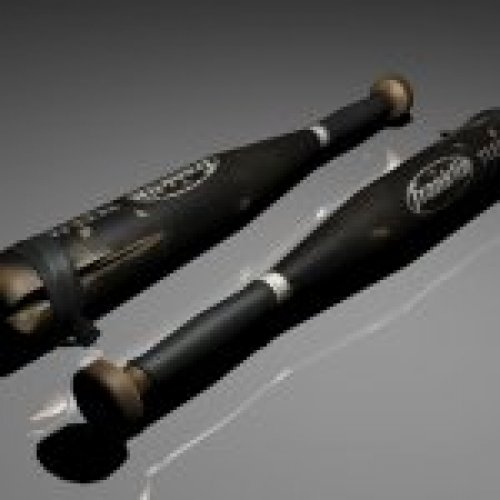 Franklin Bat