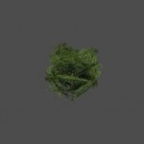 baum_01