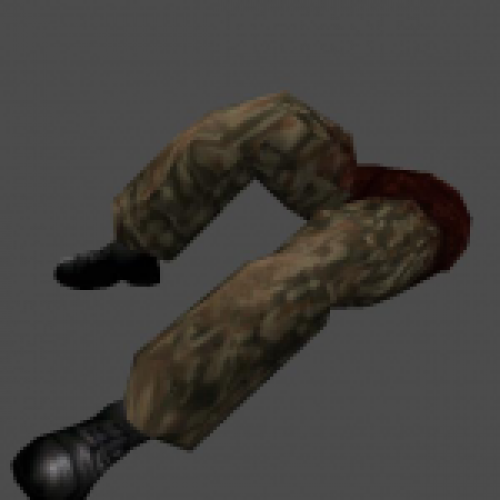 rock_gibs2.mdl