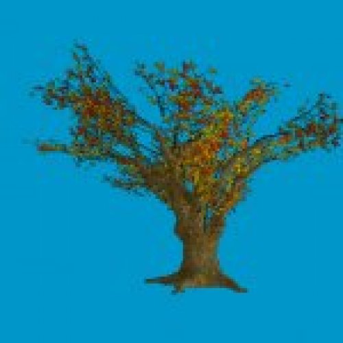 jn_falltree_02_bb