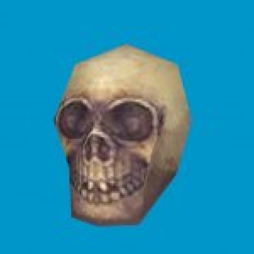 prop skull