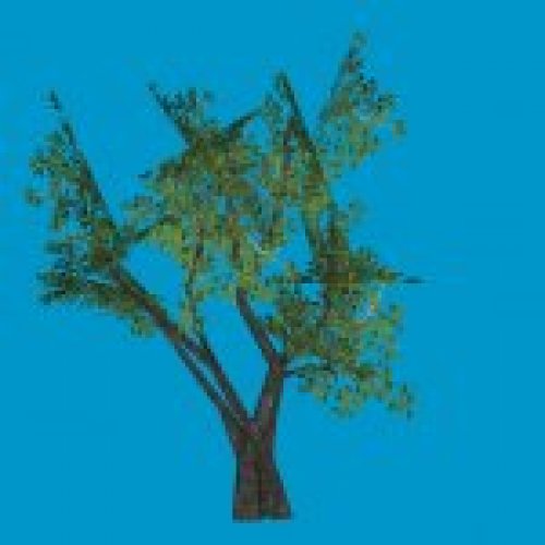 baum04