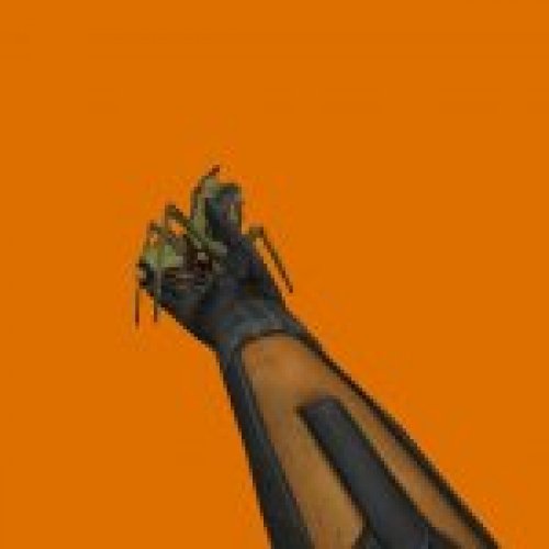HL2 Antlion