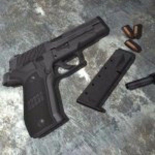 SIG Sauer P226