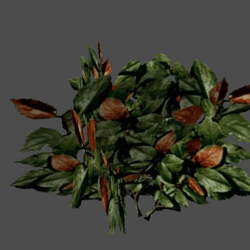 buisson27