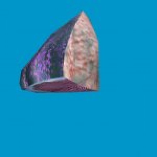 jn_blue_mushroom_03_gib00