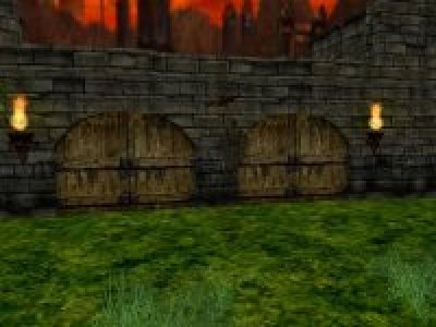 bb_forestbase_final